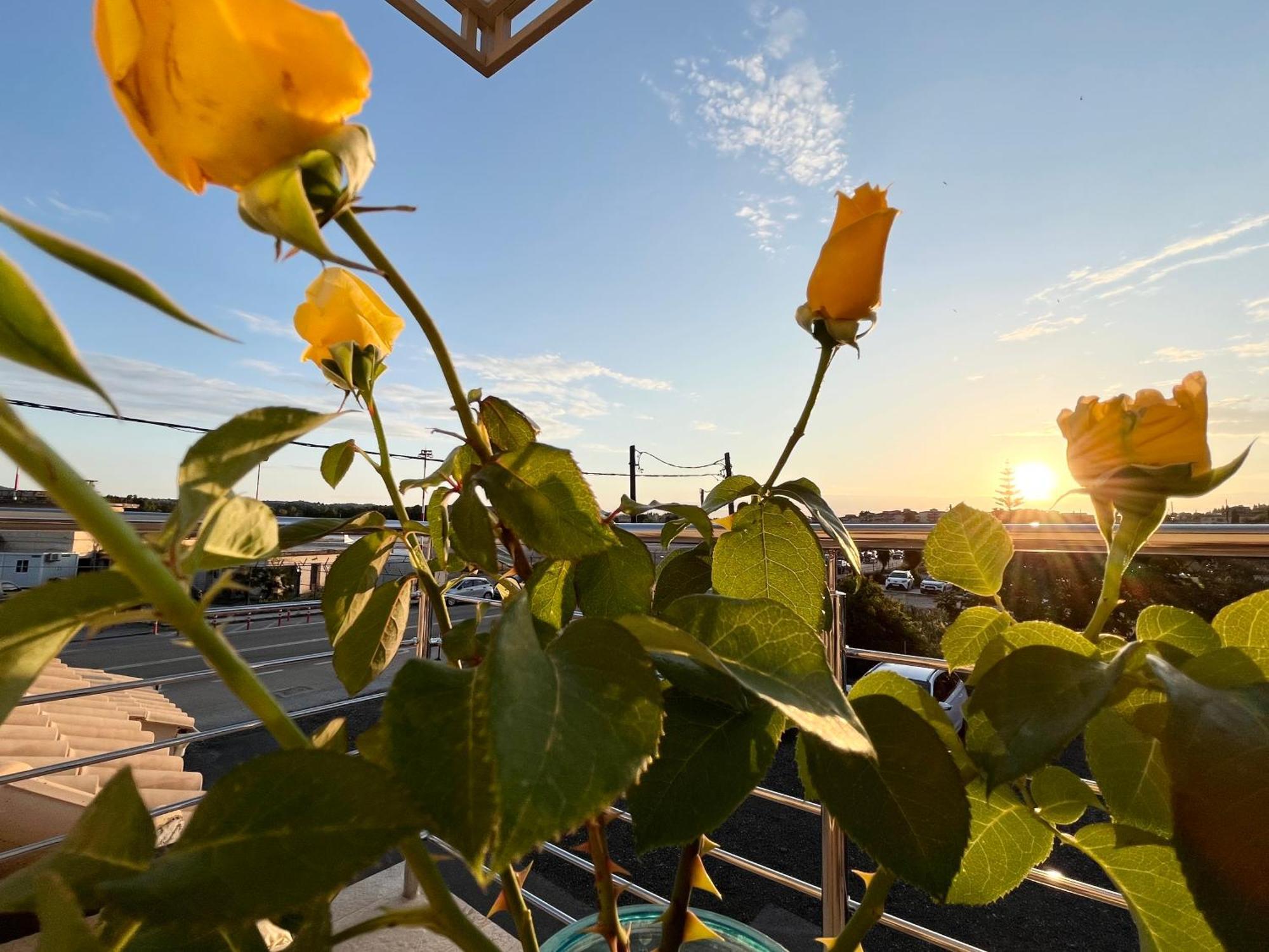 Corfu Airport Sweet Studio Exterior foto